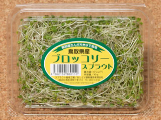 ubR[XvEg̎ʐ^