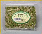 P[XvEg̎ʐ^