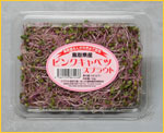 sNLxcXvEg̎ʐ^