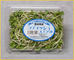 fBbVXvEg̎ʐ^